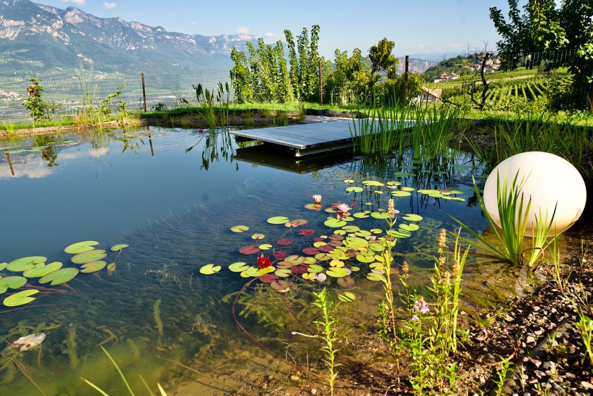 Burgunderhof Villa Montagna Luaran gambar
