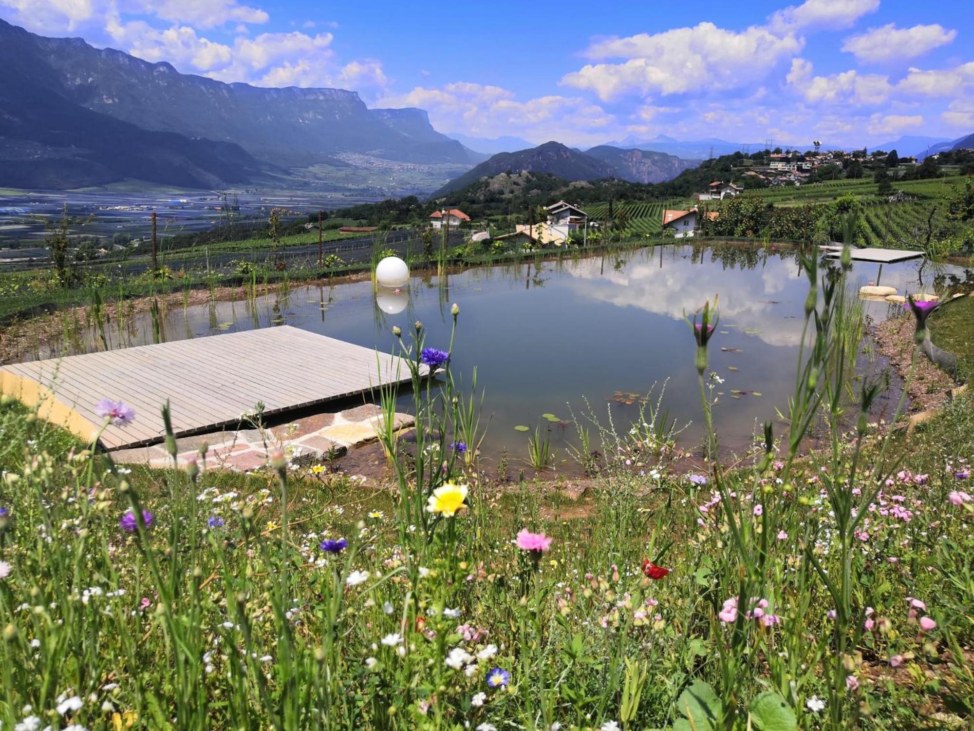 Burgunderhof Villa Montagna Luaran gambar